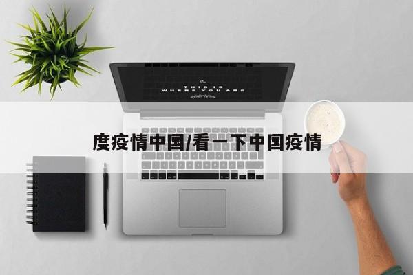 度疫情中国/看一下中国疫情